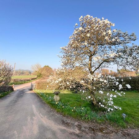 Guest Suite King Bed In Chew Valley Bath Somerset Chew Magna Ngoại thất bức ảnh