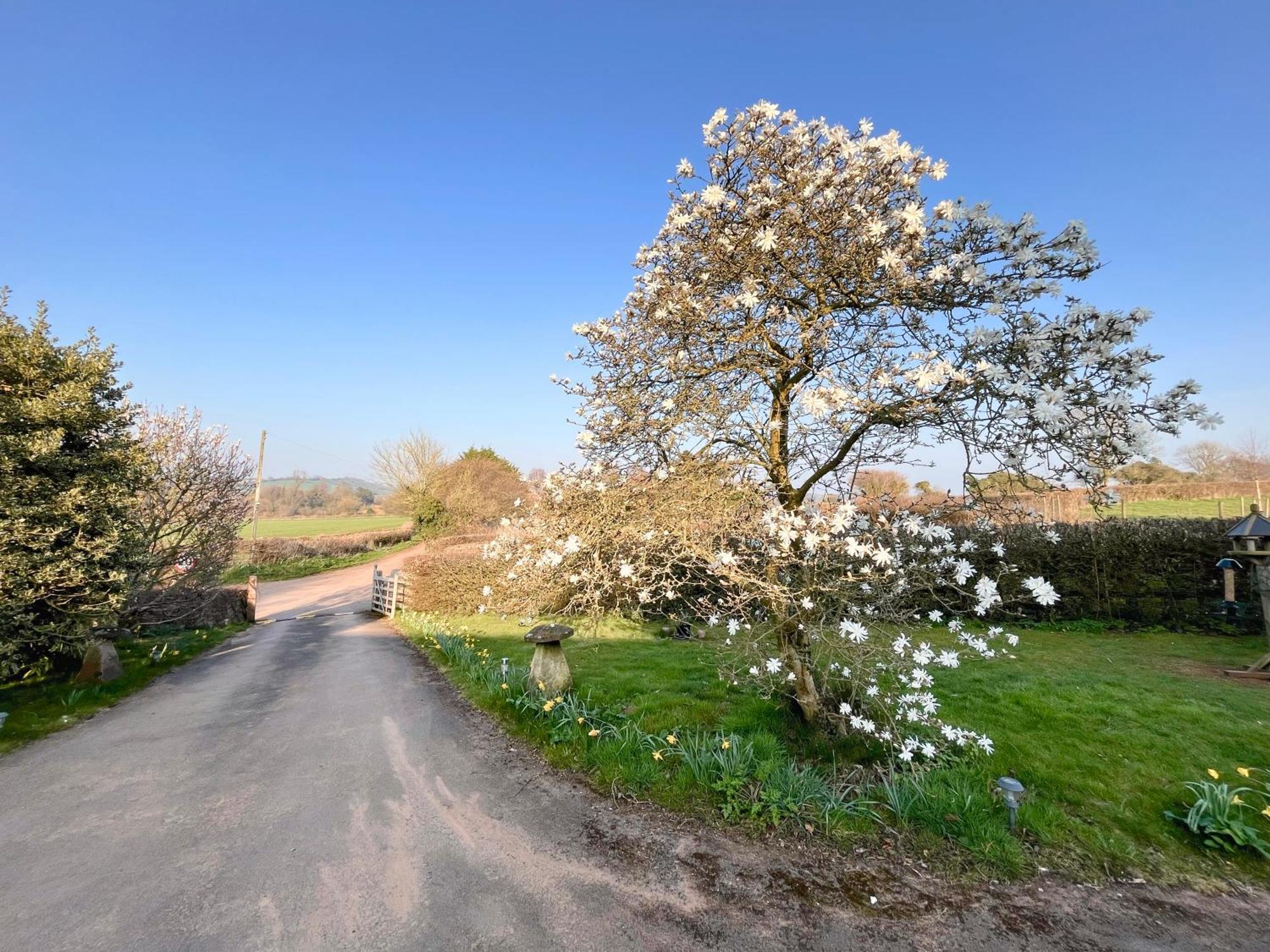 Guest Suite King Bed In Chew Valley Bath Somerset Chew Magna Ngoại thất bức ảnh